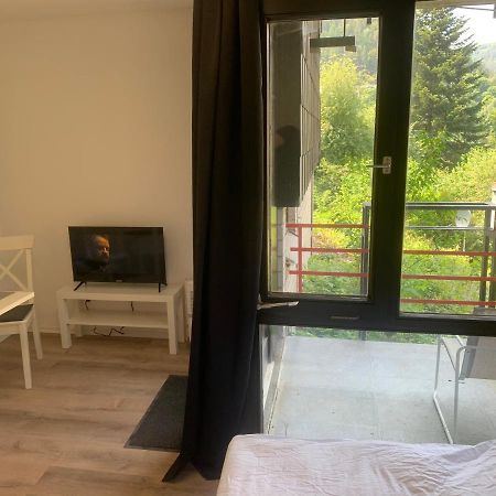 Kleines Einzimmer-Apartment 14 Bad Wildbad Bagian luar foto