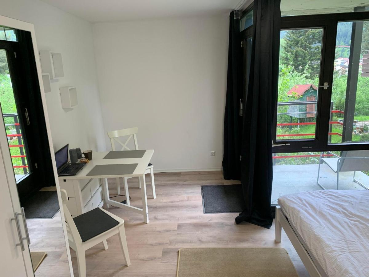 Kleines Einzimmer-Apartment 14 Bad Wildbad Bagian luar foto