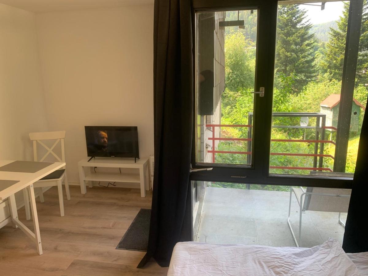 Kleines Einzimmer-Apartment 14 Bad Wildbad Bagian luar foto
